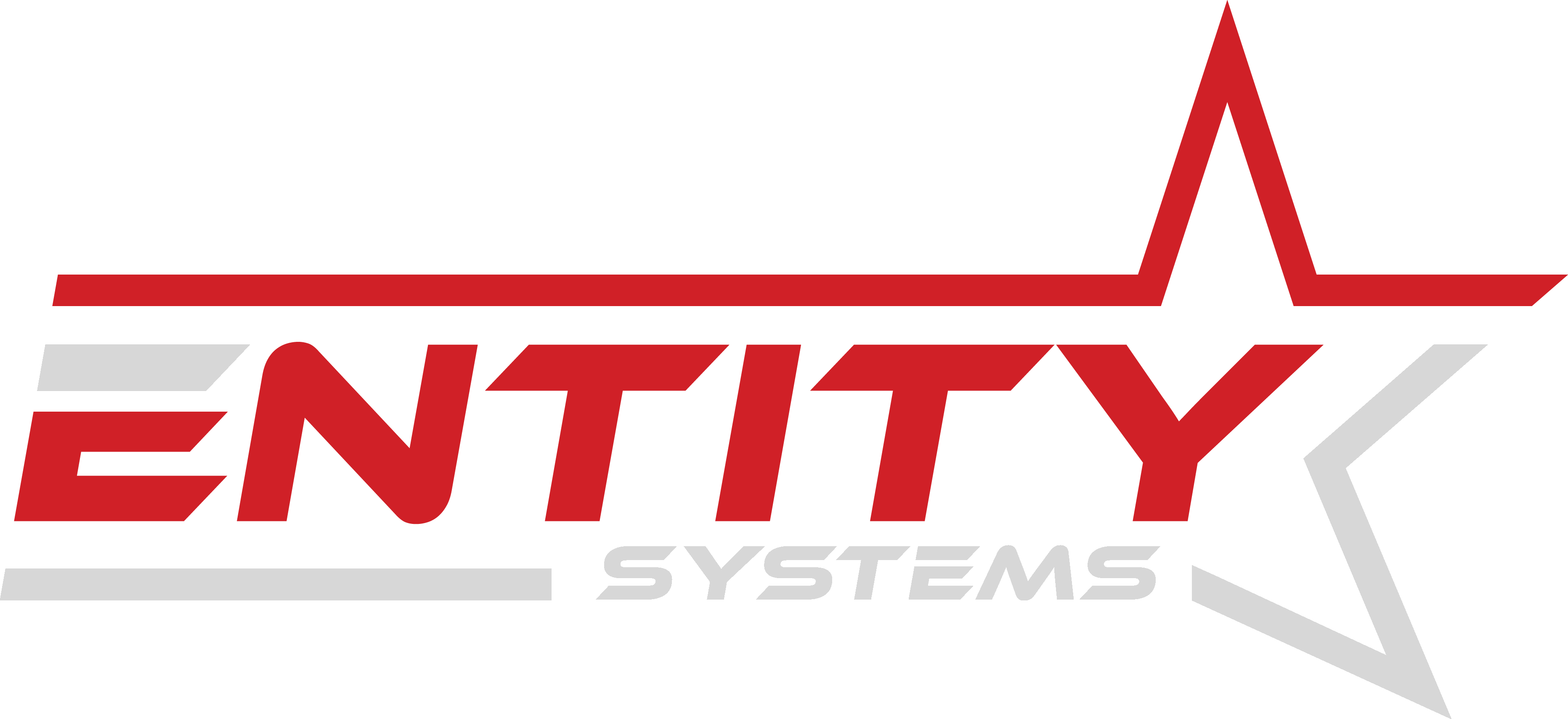 entitysystems.co
